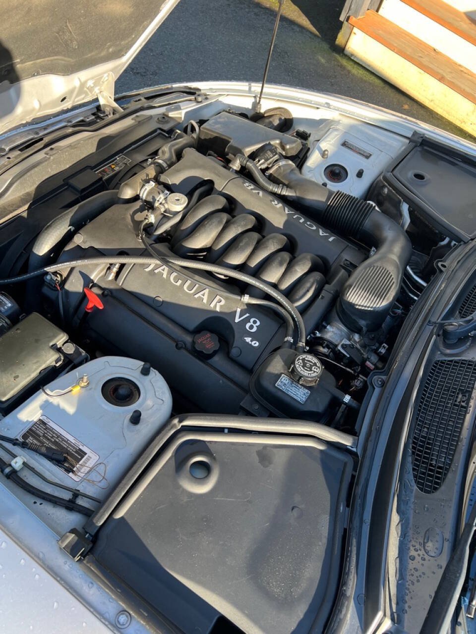 Used 2001 Jaguar XK8 Coupe RWD image 16