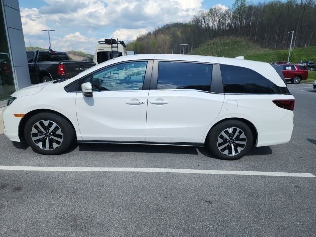Used 2025 Honda Odyssey EX-L image 3