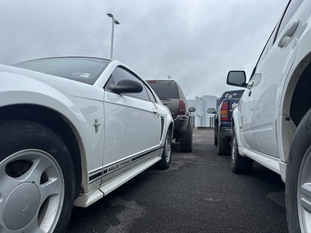 Used 2001 Ford Mustang Coupe RWD image 5
