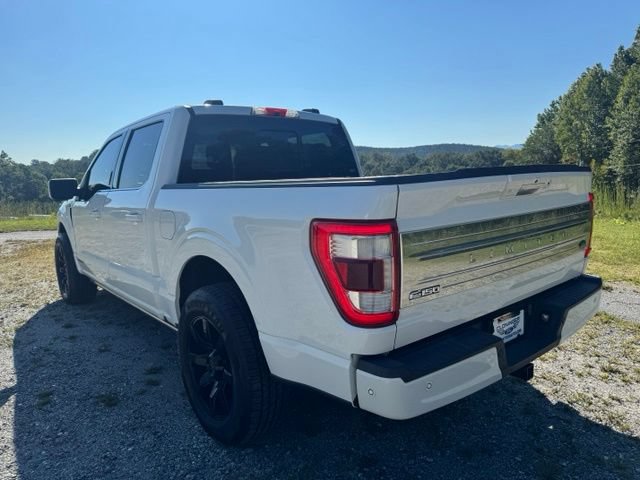 Used 2021 Ford F150 Limited AWD/4WD image 5