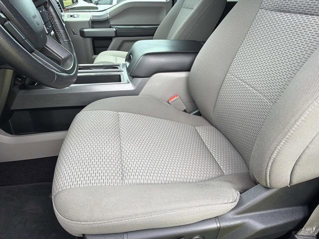 Used 2019 Ford F150 XLT w/ Equipment Group 302A Luxury AWD/4WD image 19