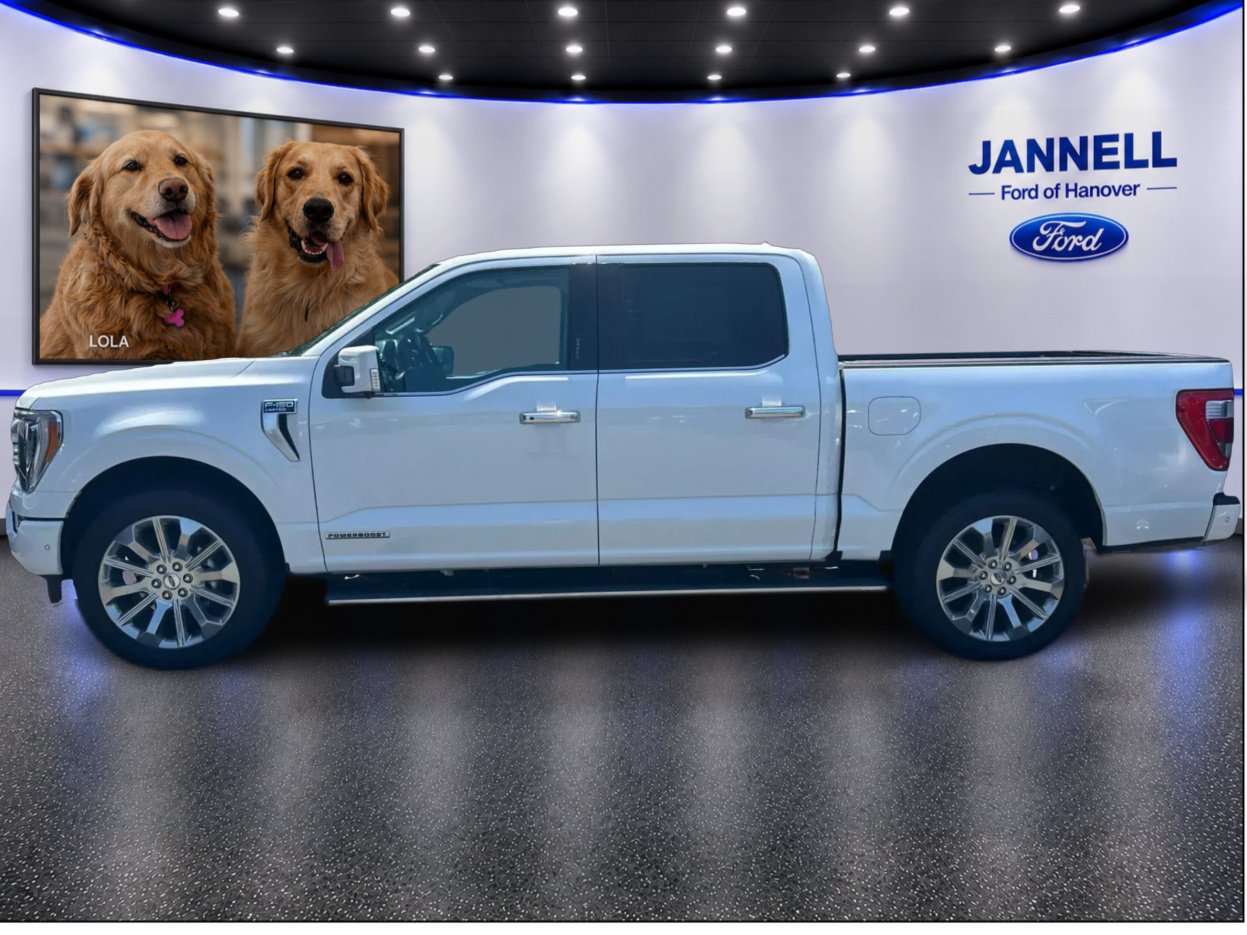 Used 2023 Ford F150 Limited AWD/4WD image 9
