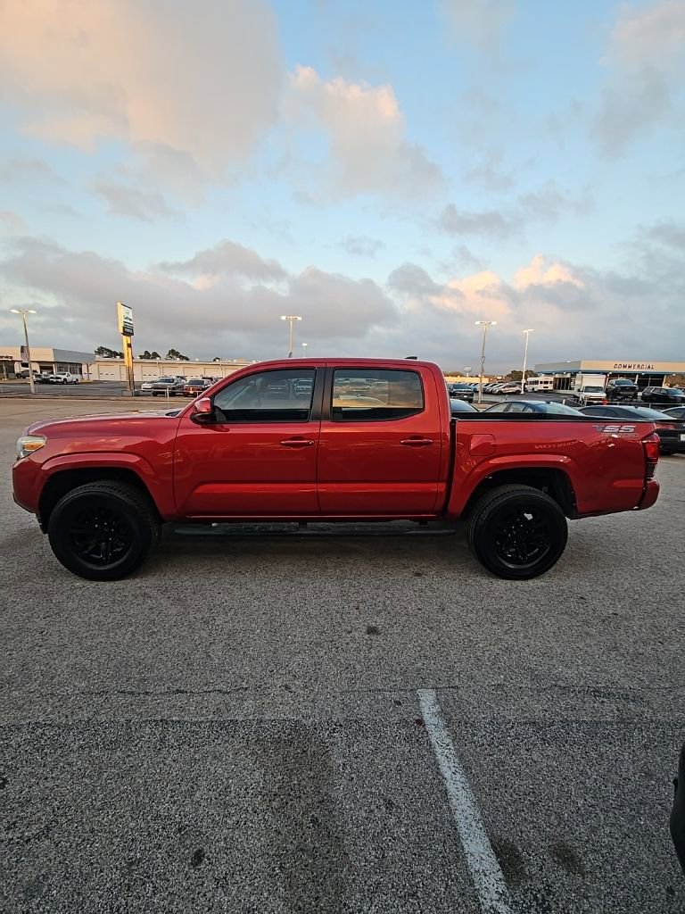 Used 2019 Toyota Tacoma SR w/ SR Convenience Package RWD image 4
