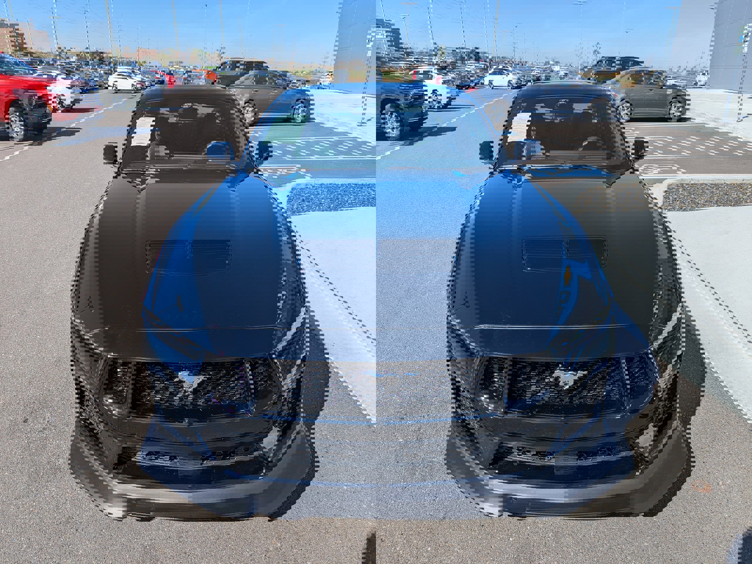 Used 2025 Ford Mustang GT Premium image 6