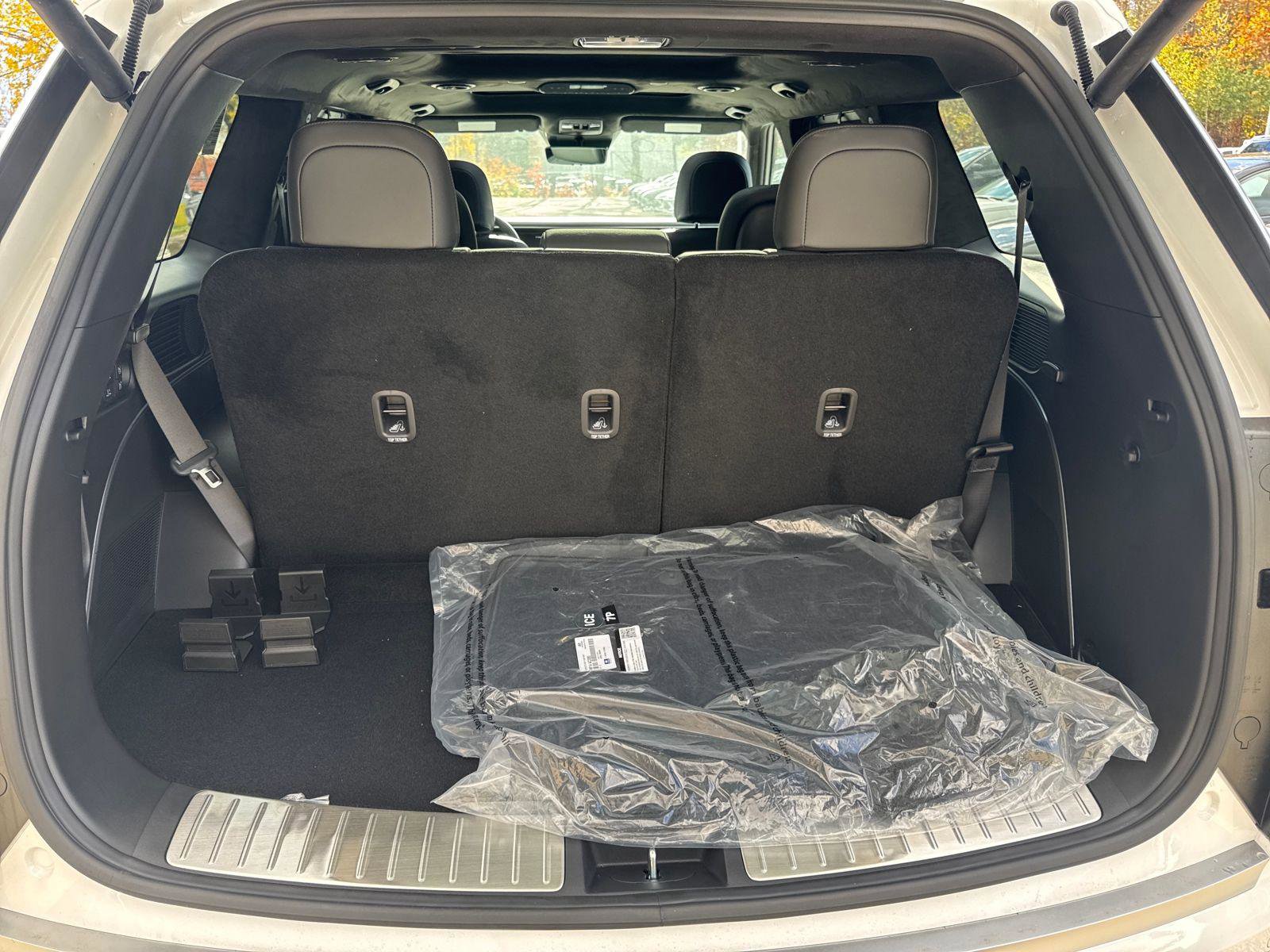 New 2026 Hyundai Palisade Calligraphy image 11