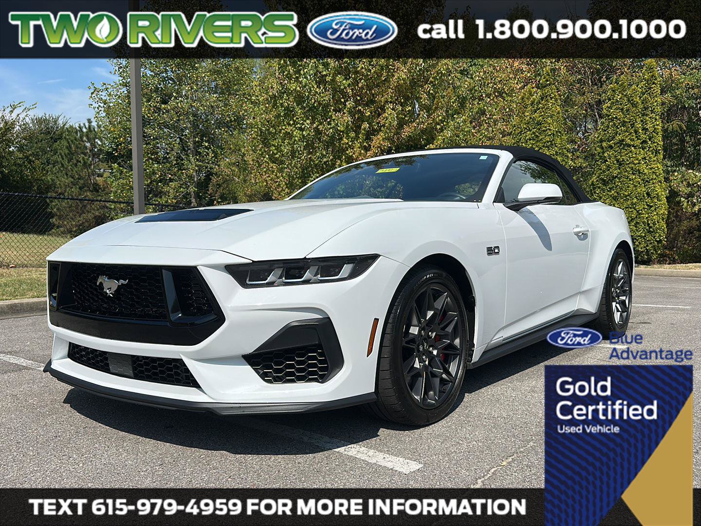 Certified 2024 Ford Mustang GT Premium w/ GT Performance Package RWD image 1