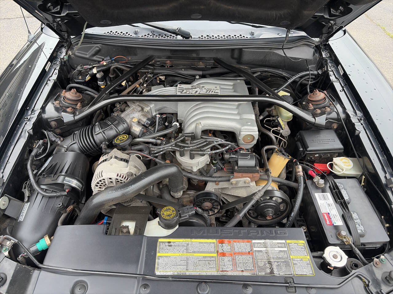Used 1995 Ford Mustang GT RWD image 13