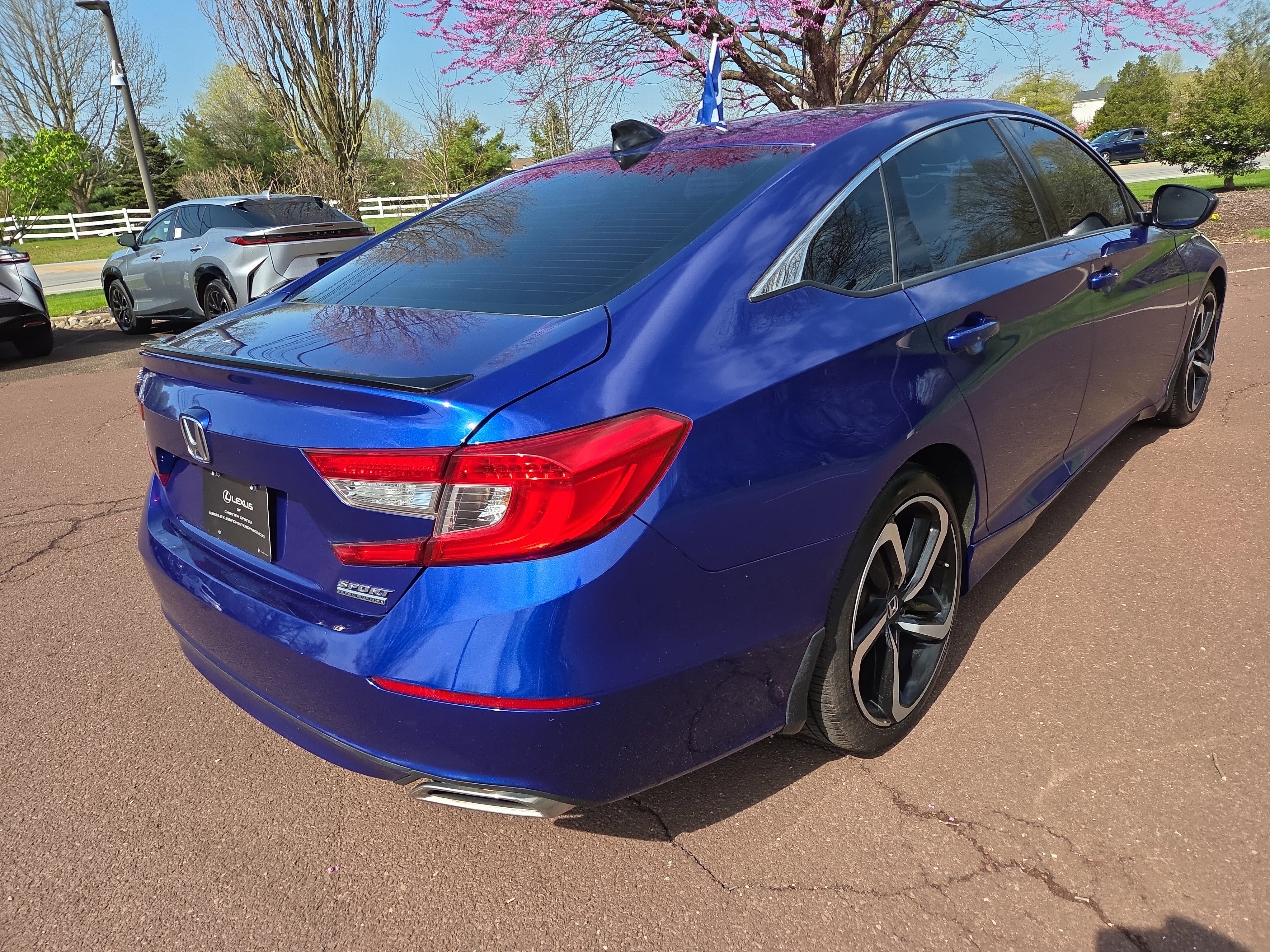 Used 2022 Honda Accord Sport Special Edition image 3