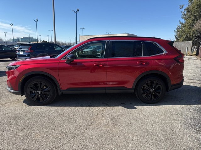 Certified 2024 Honda CR-V Sport Touring image 5