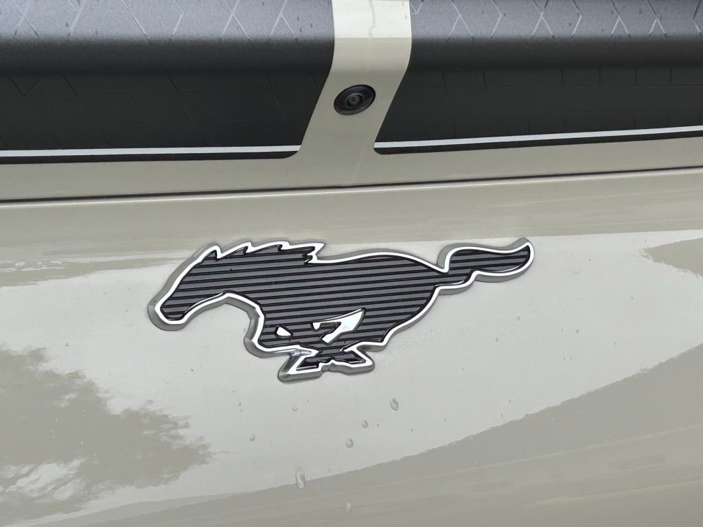 New 2025 Ford Mustang Mach-E GT w/ Interior Protection Package AWD/4WD image 19