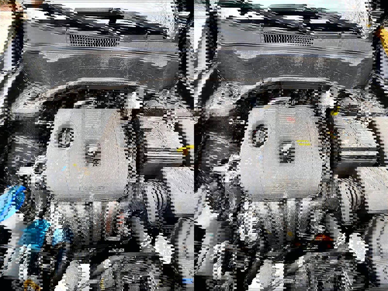 Used 2024 Kia Seltos EX image 28