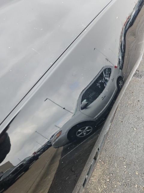 Used 2019 Ford Mustang Premium w/ Black Accent Package image 9