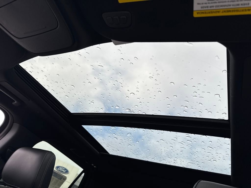 New 2025 Ford Expedition Platinum w/ Stealth Performance Package image 23