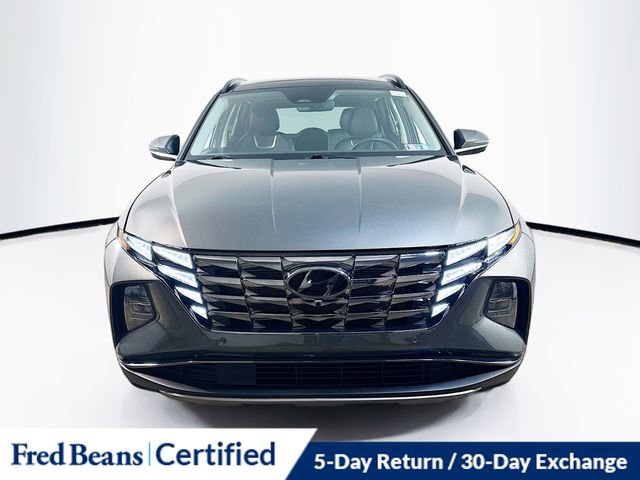 Used 2023 Hyundai Tucson Limited image 2