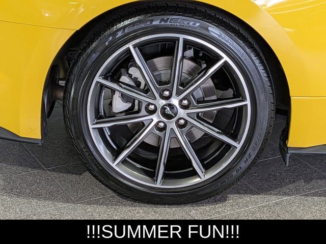 Used 2018 Ford Mustang Premium w/ Equipment Group 201A RWD image 11