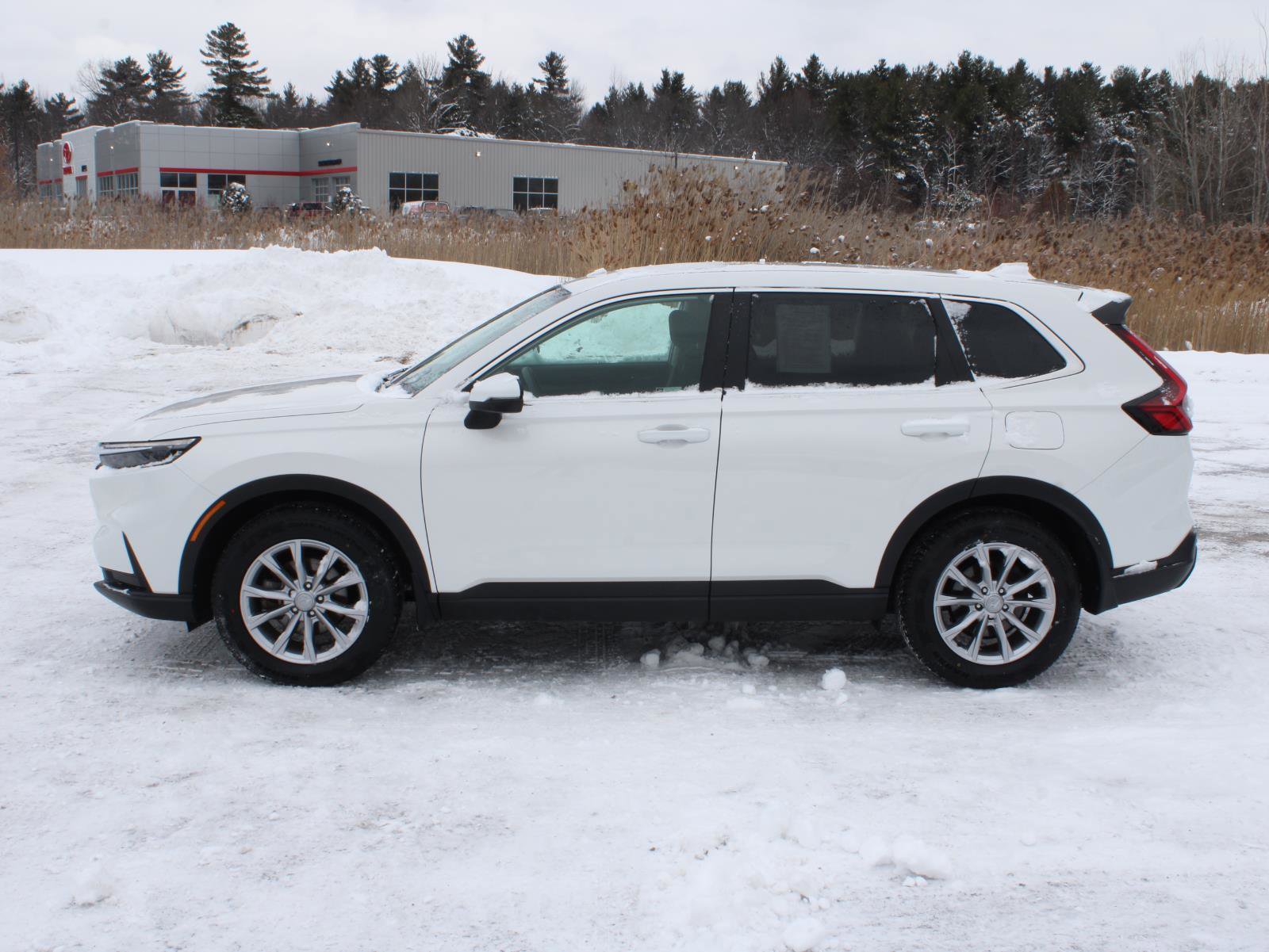 Certified 2024 Honda CR-V EX image 5