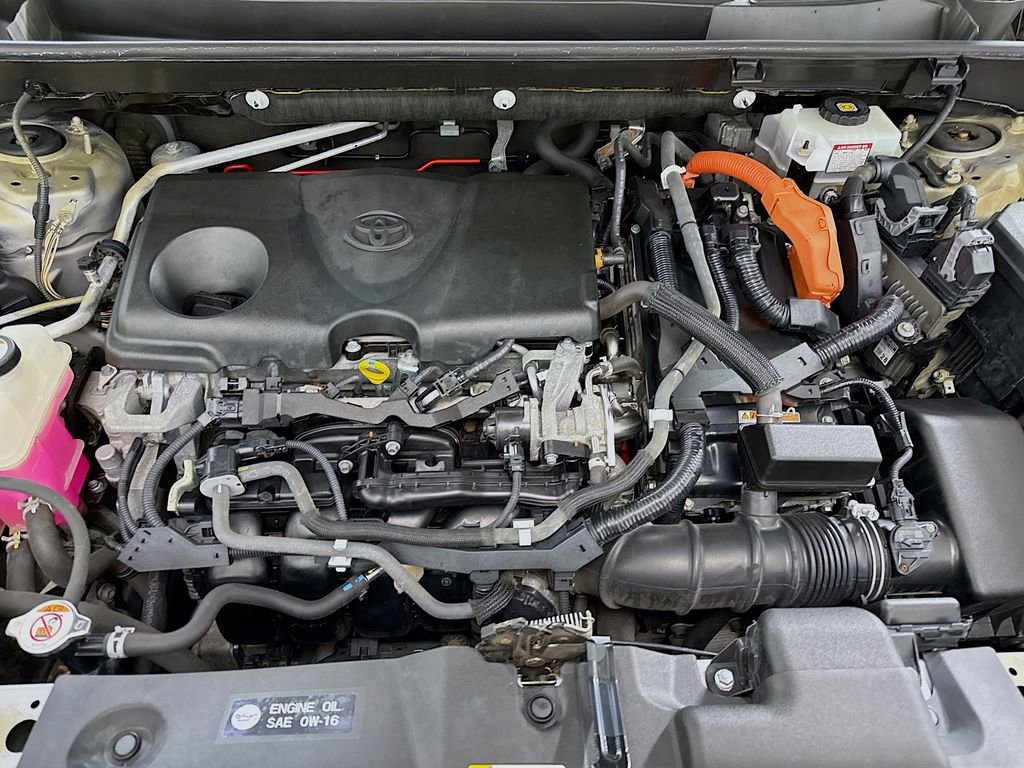 Certified 2019 Toyota RAV4 XLE image 30
