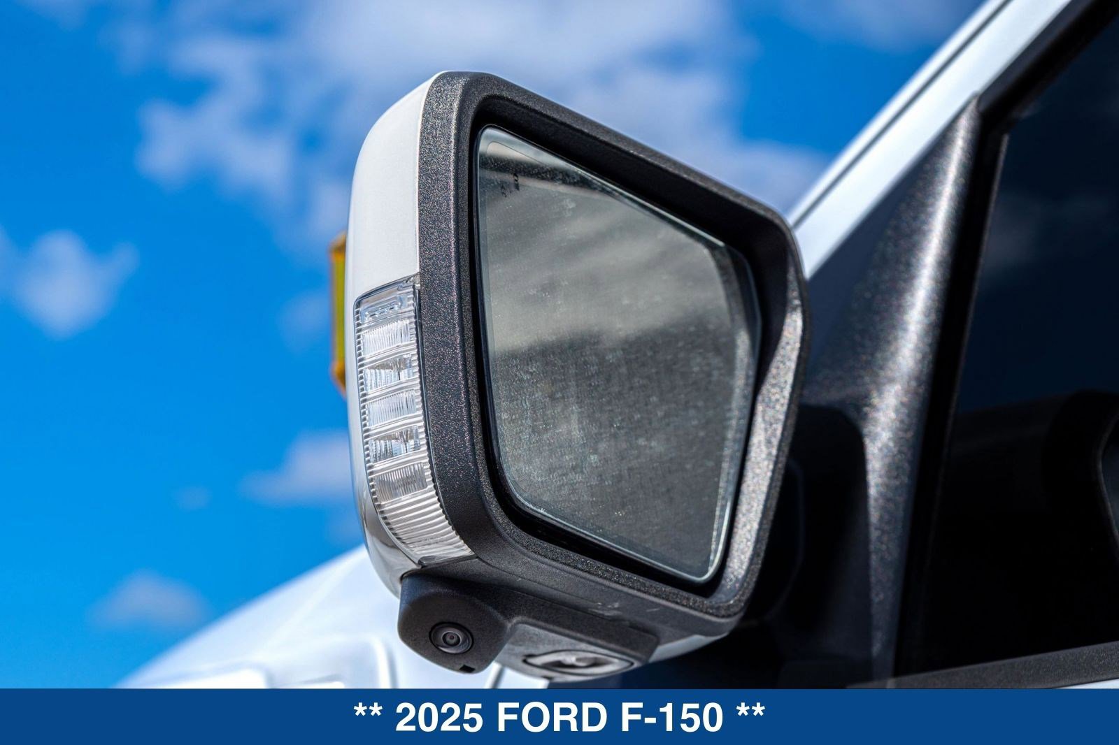 Used 2025 Ford F150 Raptor AWD/4WD image 16