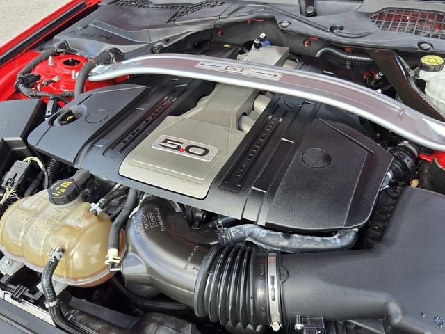 Used 2019 Ford Mustang GT Premium w/ Equipment Group 401A RWD image 17