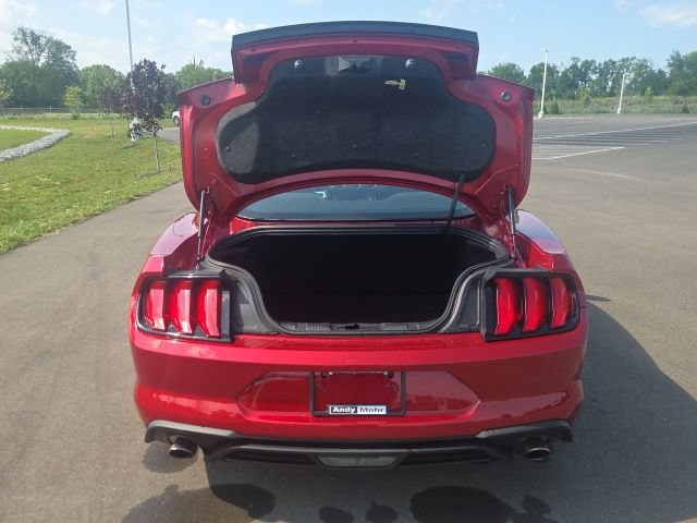 Used 2023 Ford Mustang Coupe w/ Equipment Group 101A RWD image 10