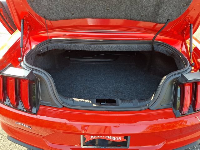 Used 2019 Ford Mustang GT Premium w/ Equipment Group 401A RWD image 29