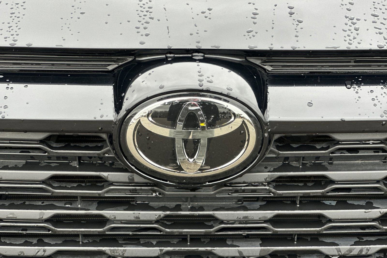 Certified 2025 Toyota RAV4 XLE image 49