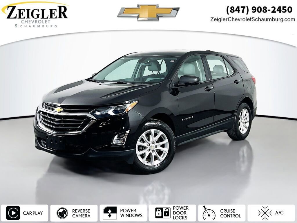 Used 2019 Chevrolet Equinox LS image 1