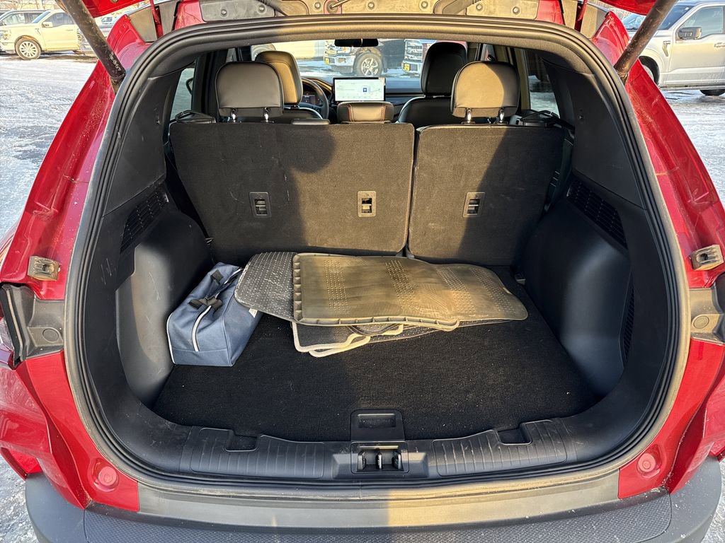 Used 2025 Ford Escape ST-Line w/ Tech Pack #1 image 15