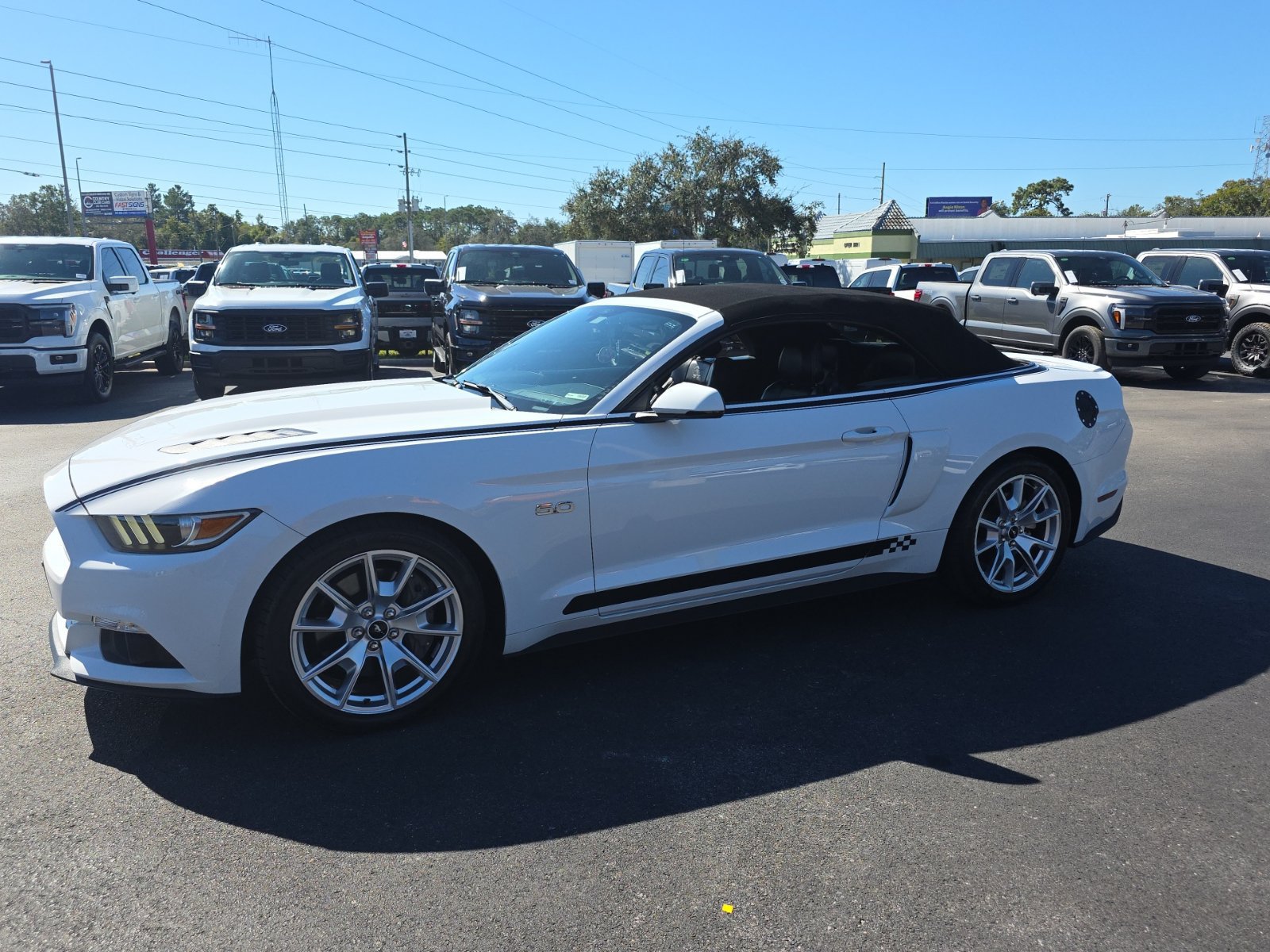 Used 2015 Ford Mustang GT Premium w/ 50 Years Appearance Package RWD image 8