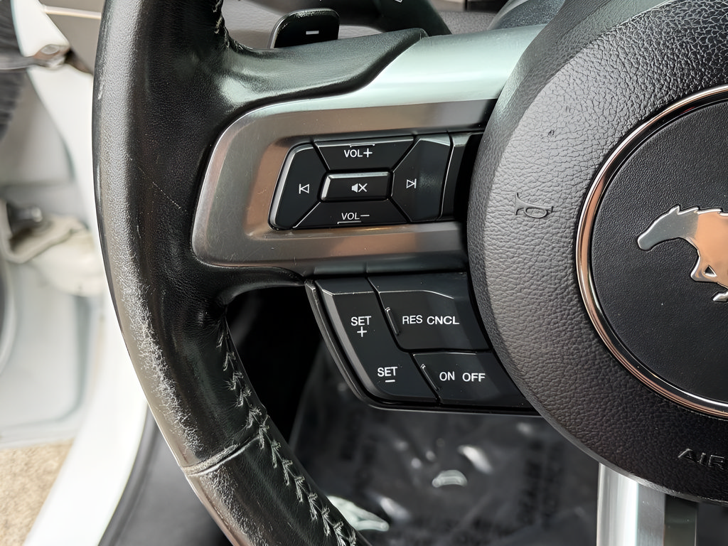 Used 2019 Ford Mustang Premium RWD image 28