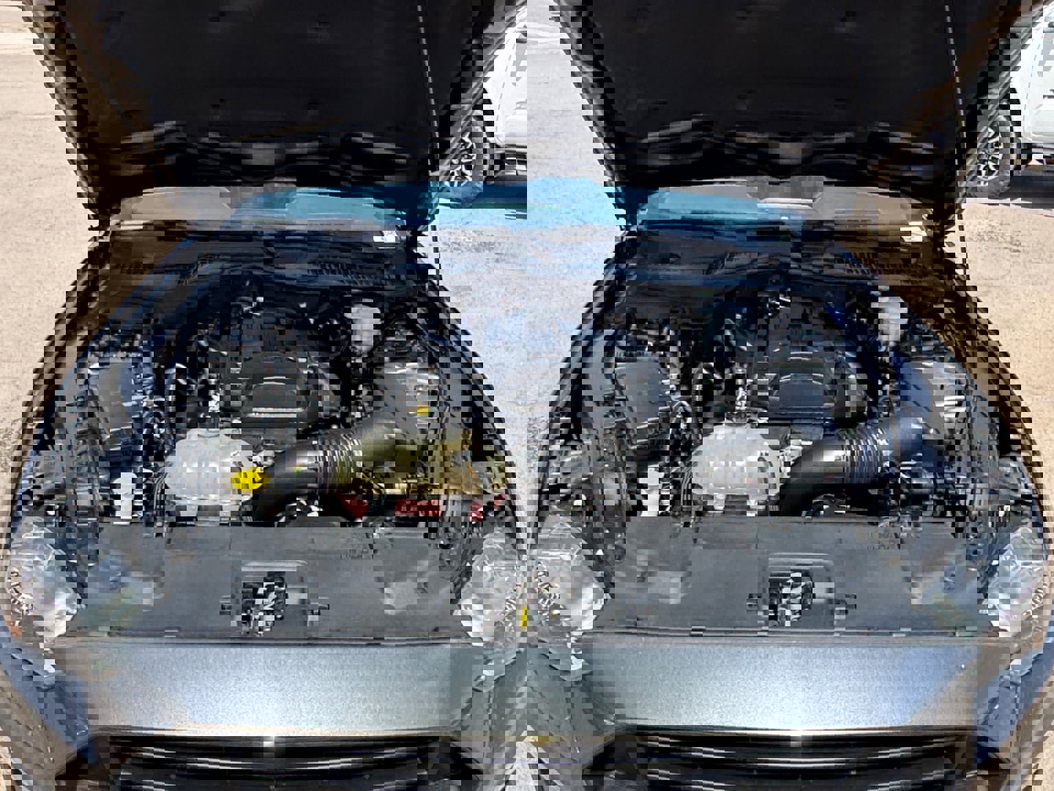 Used 2019 Ford Mustang Premium w/ Equipment Group 201A image 20