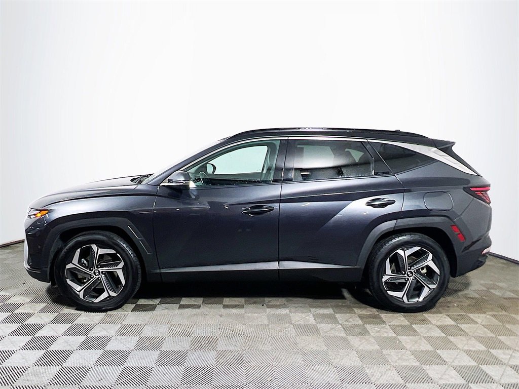 Used 2024 Hyundai Tucson Limited image 5