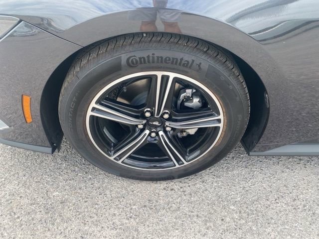 New 2024 Ford Mustang Premium image 10