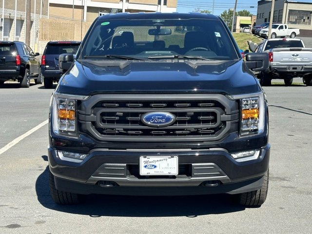New 2023 Ford F150 XLT w/ Equipment Group 302A High image 13