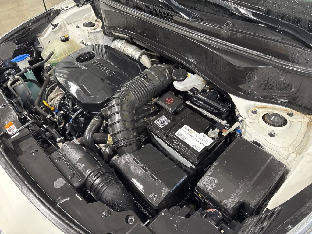 Used 2021 Kia Seltos SX w/ SX Sunroof Package image 11