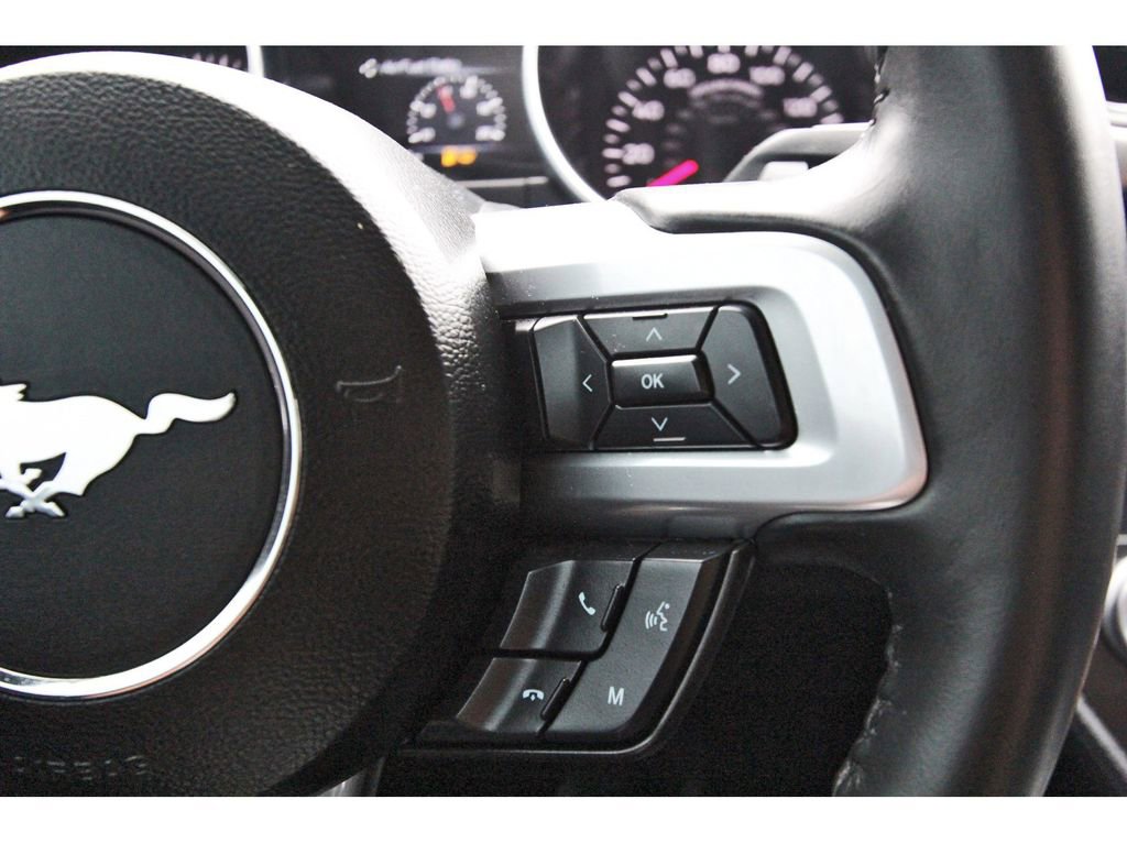 Used 2023 Ford Mustang GT w/ Mustang Nite Pony Package image 14