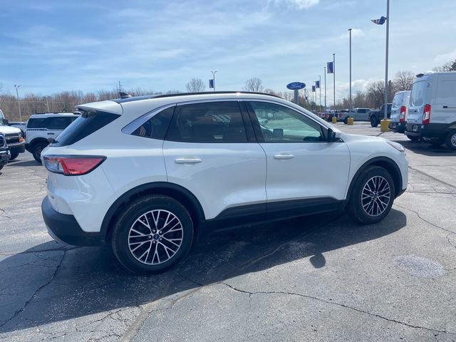 Used 2021 Ford Escape SEL FWD image 7
