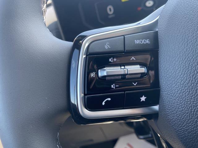 New 2026 Kia Carnival SX Prestige image 32