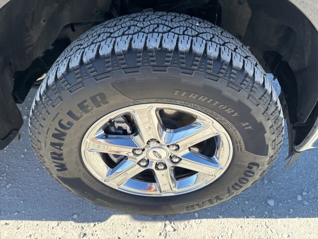 Used 2025 Ford F150 XLT w/ Equipment Group 301A Standard image 29