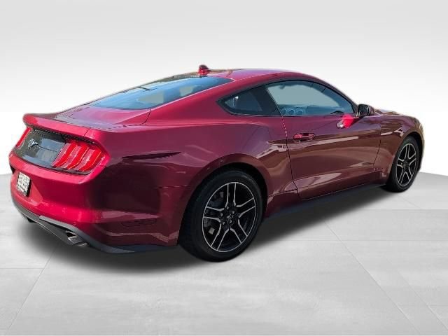Used 2022 Ford Mustang Coupe w/ Equipment Group 101A RWD image 7