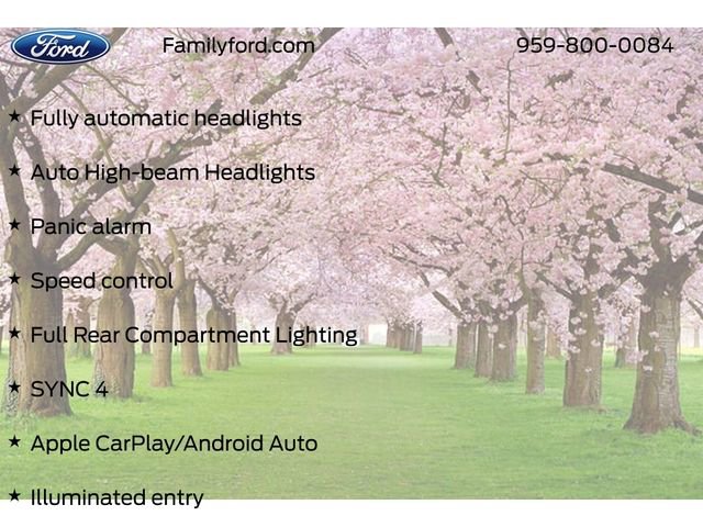 New 2026 Ford Transit 150 Low Roof AWD image 28