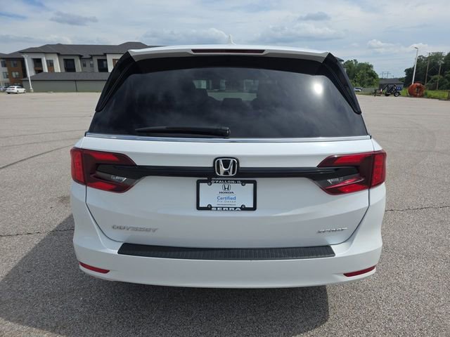 Certified 2024 Honda Odyssey Sport image 12