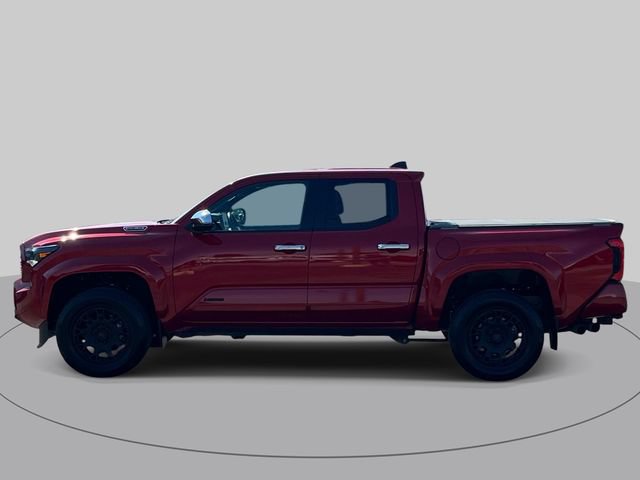 Used 2024 Toyota Tacoma Limited AWD/4WD image 7