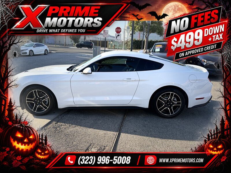 Used 2021 Ford Mustang Coupe w/ Equipment Group 101A RWD image 4