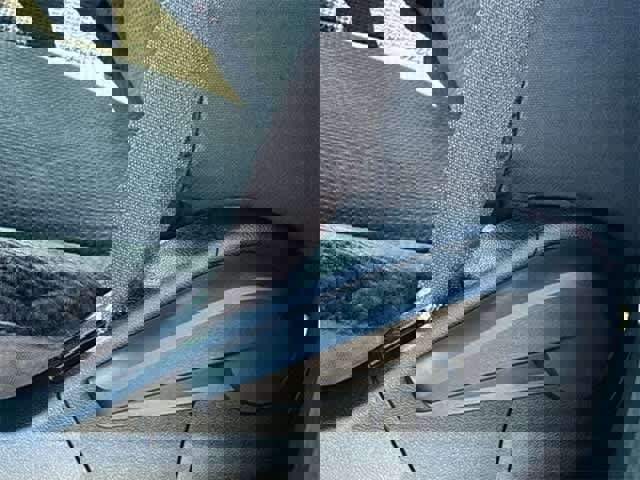 Used 2019 Dodge Grand Caravan SE image 30