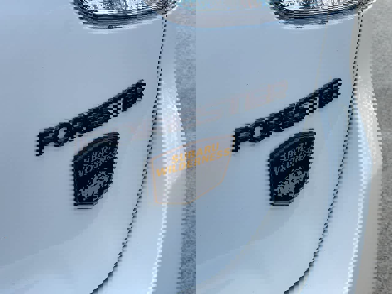 Certified 2024 Subaru Forester Wilderness image 18