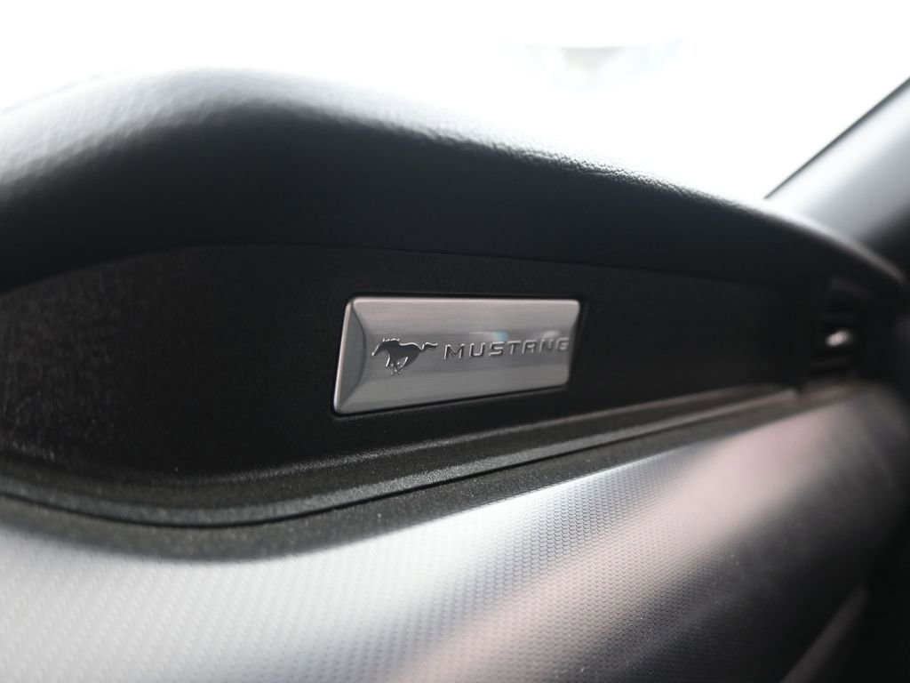 Used 2019 Ford Mustang GT Premium w/ Equipment Group 401A image 24