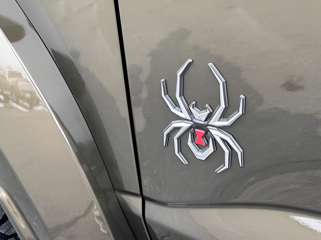 New 2025 Ford F150 Raptor image 45