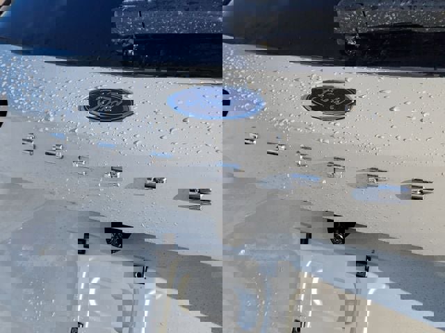 New 2026 Ford Escape ST-Line w/ Tech Pack #1 image 12