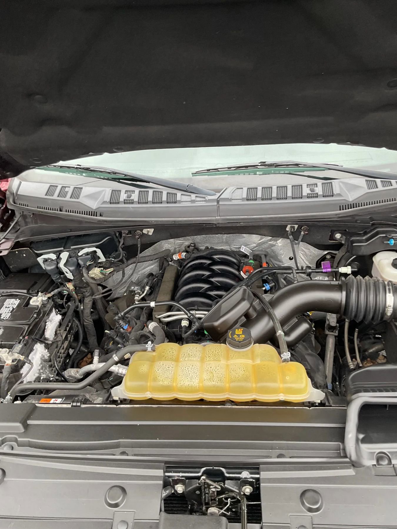 Used 2019 Ford F150 XLT w/ Equipment Group 302A Luxury image 25